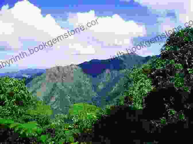 A Breathtaking View Of The Sierra Maestra Mountain Range, Cuba DK Eyewitness Cuba (Travel Guide)