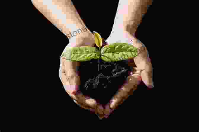 A Close Up Of A Hand Holding A Small Seedling, Representing Hope And New Beginnings. Life In The City Of Dirty Water: A Memoir Of Healing