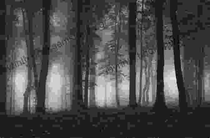A Dark Forest With Eerie Lights In The Distance Forever (Forgotten Space 4) M R Forbes