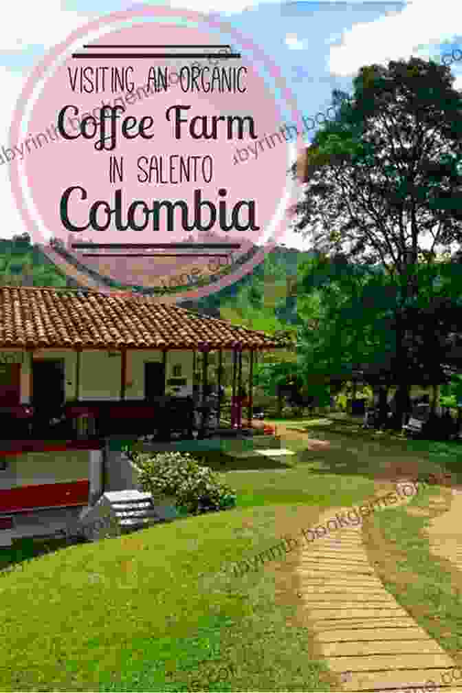 A Photo Of A Coffee Farm In Salento, Colombia. Colombia In One Week (The One Week Photo 1)