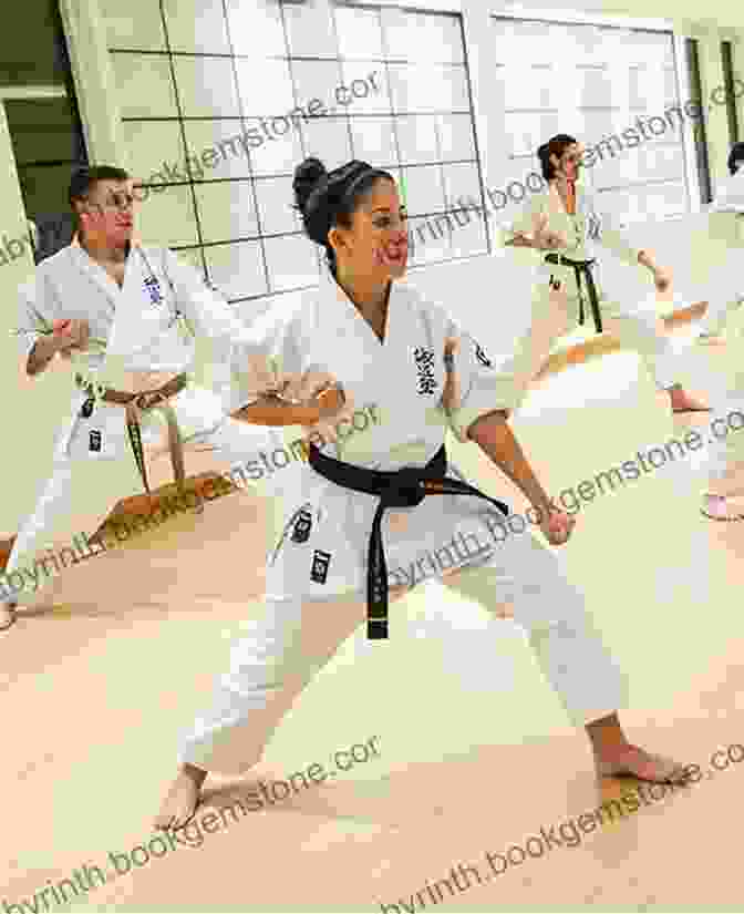 A Seido Karate Dojo Sign Of The Dragon (Tatsu Yamada 1)