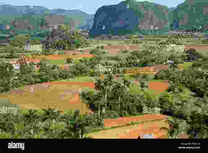 A Stunning View Of The Viñales Valley, Cuba, With Lush Tobacco Plantations And Towering Mogotes DK Eyewitness Cuba (Travel Guide)
