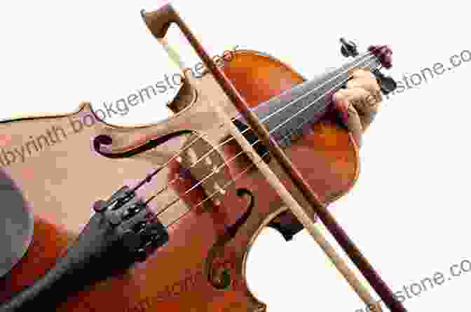A Traditional Irish Fiddle Focus: Irish Traditional Music (Focus On World Music Series)