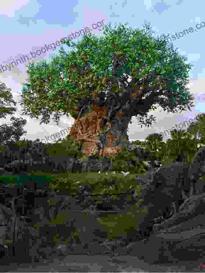 A View Of The Tree Of Life At Disney's Animal Kingdom, With Its Intricate Carvings And Lush Greenery Surrounding It. From Adventureland To Zootopia: The Amazing Of Disney Lists