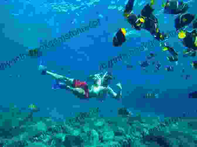 Adventurers Snorkeling Amidst A Vibrant Coral Reef In Puerto Vallarta Puerto Vallarta Puerto Vallarta (Adventures With Teo Aventuras Con Teo 4)
