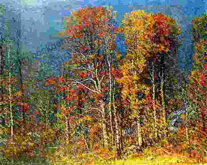 Autumn Woods John J Enneking: 40+ Impressionist Paintings Impressionism