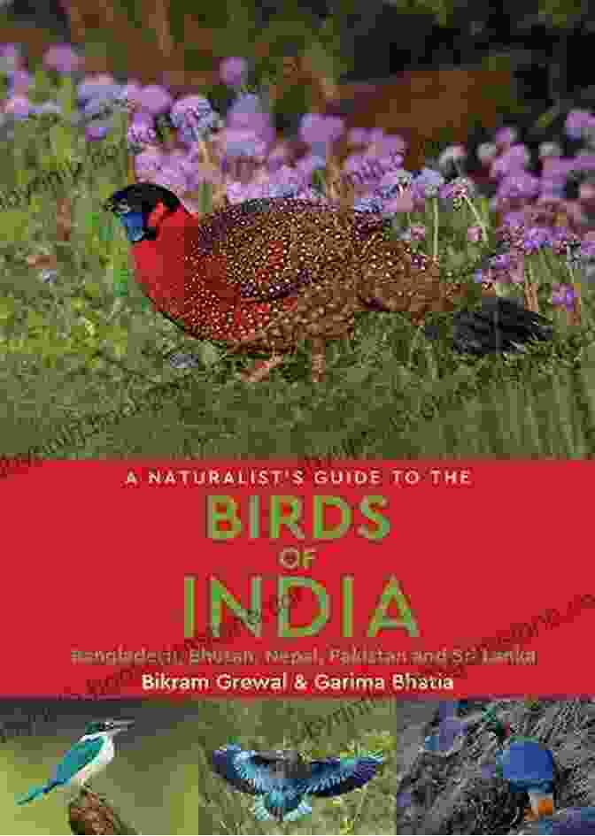 Naturalist Guide Observing Wildlife In India Working For Wildness: A Naturalist Guide S Travels In The Arctic Antarctica Africa India Russia New Zealand And Scotland