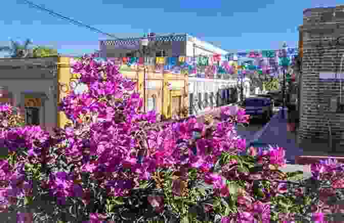 Panoramic View Of Todos Santos Town With Its Iconic White Church Steeple And Palm Trees Against A Clear Blue Sky Tales Of Todos Santos: Amusing Stories From A Small Mexican Town In The Baja