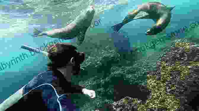 Snorkeling With Sea Lions In The Galapagos Islands. The Pangas Las Pangas (Adventures With Teo Aventuras Con Teo 7)