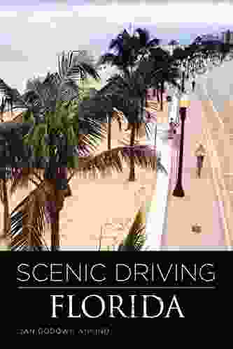 Scenic Driving Florida Torre DeRoche