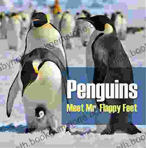 Penguins Meet Mr Flappy Feet: Penguin For Kids (Children S Bird Books)