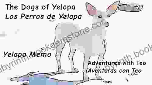 The Dogs Of Yelapa Los Perros De Yelapa (Adventures With Teo Aventuras Con Teo)