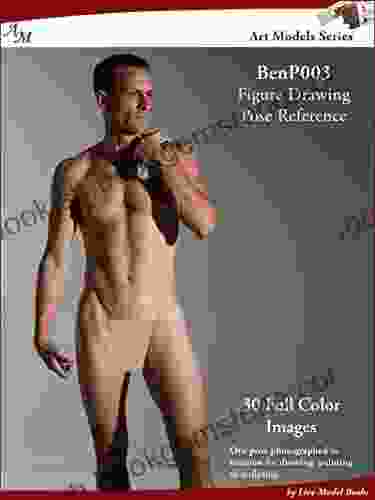 Art Models DanM211: Figure Drawing Pose Reference (Art Models Poses)